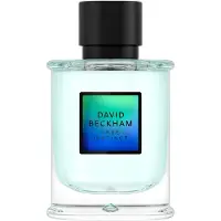 David Beckham True Instinct Eau de Parfum 75 ml