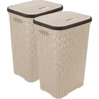 Hega hogar Wasmand met deksel Rotan - 2x - beige - kunststof - 60L - 34 x 43 x 62 cm - Wasmanden