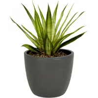 Floran 1x bloempot in kleur mat antraciet grijs keramiek voor kamerplant h12.5 x d13.5 cm- plantenpotten binnen