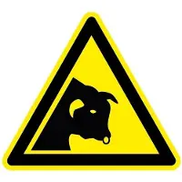 Allesveilig.nl Stier