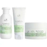 Wella Elements Renewing Trio Package