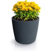 Prosperplast Plantenpot/bloempot Buckingham - buiten/binnen - design kunststof - antraciet - D34 x H30 cm