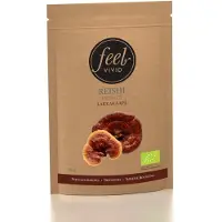 Feel Vivid Biologische Reishi Extract Poeder-
