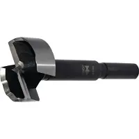 Fisch-Tools Houtboor | d. 60 mm totale lengte 90 mm | schacht-d. 10 mm | 1 stuk - 031BS06000 - 031BS06000