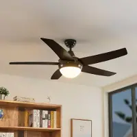 LINDBY Plafondventilator met verlichting Auraya, stil, zwart Auraya, zwart, Woon-/ Eetkamer, metaal, Modern