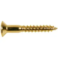 Boston WS-04-G Gouden Ovalen Schroeven 3,5x25mm - 12 Stuks