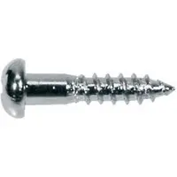 Boston WS-02-C Domekop Schroeven 2,1x10mm - 12 Stuks Chrome