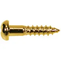 Boston WS-02-G Luxe Dome Hoofd Schroeven - 2,1x10mm (12 Stuks)
