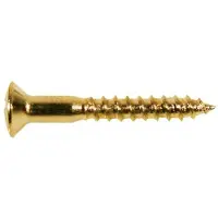 Boston WS-14-G Ovalen Verzonnen Schroeven 2,4x16mm - 12 Stuks Goud