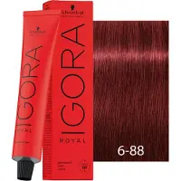 Schwarzkopf Professional Igora Royal Reds 60 ml 6-88 Dark Blonde Red Extra