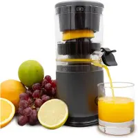 Livington JuiceBoost - draagbare sapcentrifuge op batterijen - 250 ml opvangbak - snoerloos - kleine sapcentrifuge - sapcentrifuge om mee te nemen - slow juicer voor fruit en groenten - vruchtensap