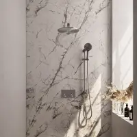 Brauer Edition Inbouw Doucheset - Ronde Handdouche - 30cm Hoofdouche - Rechte Wandarm - Glijstang - Geborsteld Rvs PVD - Messing - Kranen, - Kranen, Douchekranen, Douchesets, Inbouw douchesets