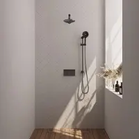 Brauer Edition Inbouw Doucheset - Ronde Handdouche - 20cm Hoofdouche - Rechte Wandarm - Glijstang - Geborsteld Gunmetal PVD - Messing - Kranen, - Kranen, Douchekranen, Douchesets, Inbouw douchesets
