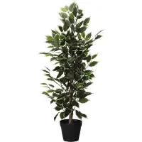 HOME & Styling collection Kunstplant in pot, 95 cm