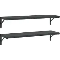 vidaXL Wandschappen 2 st 100x30 cm roestvrijstaal zwart
