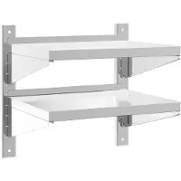 vidaXL Wandschap 2-laags 50x40x48 cm roestvrijstaal zilverkleurig