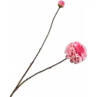 Silk-ka Kunstbloem-Zijden Bloem Dahlia Tak Roze 86 cm