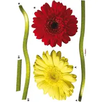Komar - Muursticker - Gerbera - Zelfklevend - Muurdecoratie - Stickers - 50 x 70 cm