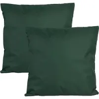 Anna's Collection Buiten of tuin sier kussens - 2x - donkergroen - 60 x 60 cm - binnen/buiten - zitkussens tuinbank