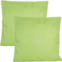 Anna's Collection Buiten of tuin sier kussens - 2x - groen - 60 x 60 cm - binnen/buiten - zitkussens tuinbank