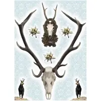 Komar - Muursticker - Holadiho - Zelfklevend - Muurdecoratie - Stickers - 50 x 70 cm