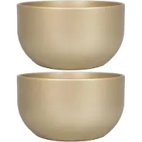 Floran Bloempot - 3x stuks - schaal - parelgoud - keramiek - binnen - D26 en H14 cm - plantenpot - gladde afwerking