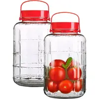 Urban Living Voedsel opslag container - 2x - glas - 8 liter - afsluitdop en draag hengsel - transparant - voorraadpot - weckpot - 19 x 34 cm