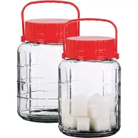 Urban Living Voedsel opslag container - 2x - glas - 3 liter - afsluitdop en draag hengsel - transparant - voorraadpot - weckpot - 15 x 23 cm