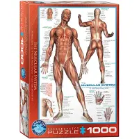 Eurographics The Muscular System Puzzel (1000 stukjes)