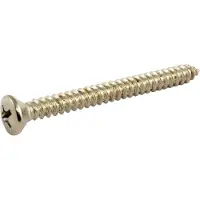 AllParts GS0005B01 Nikkel Nekplaat-Schroeven – 50 Stuks