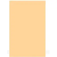 Boston PG-134-C pickguard material, 1 ply, 45x29cm, cream