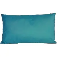 Anna's Collection Buiten of tuin sier kussens - petrol blauw - 30 x 50 cm - binnen/buiten - Sierkussens