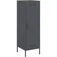 vidaXL Hoge kast 36x39x113 cm staal antracietkleurig