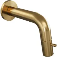 Brauer Gold Edition inbouw fonteinkraan inkortbaar goud geborsteld PVD