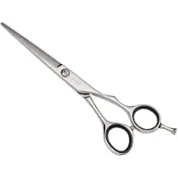 E-Kwip Knipschaar EOP FS Zilver 6,5inch