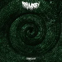 Modulor Cnt Trauma Ray - Chameleon (CD)