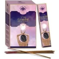Green tree - I am Grateful Manifestation - wierook Meditatie - Heilig hout - Duurzame wierookstokjes - doos 12 stuks Incense 15 gram