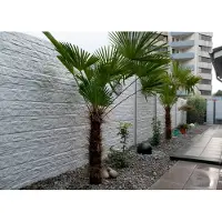 Intergard Beton schutting Fencestone enkelzijdig 200x193cm