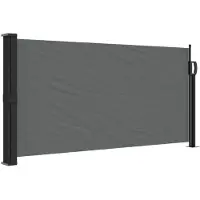 vidaXL Uitschuifbaar zijluifel antraciet 100x300 cm