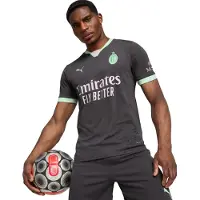 Puma Tricot 'AC Milan 24/25' grijs / mintgroen / wit