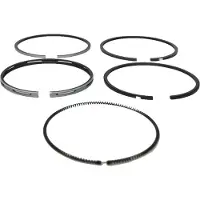 Bukh Dve Piston Ring Set 10/20m Zilver