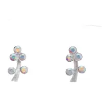 Behave – Oorbellen – Sterling Zilveren Kleine Oorbellen - Takjes Motief - Multi kleur Aurore Boreale Kristal steentjes