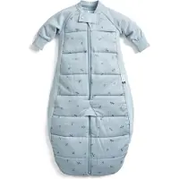 ErgoPouch Sleepsuit Slaapzak - 2,5 Tog - Slaapzak baby - Slaapzakken - Slaapzak kind winter - 4-6 jaar - Dragonflies