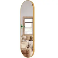 MISOU Wandspiegel - Passpiegel - Hangspiegel - Ovaal - Goud - Spiegel - 100x30cm - Wanddecoratie