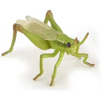 Papo -hand