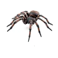 Papo - Gewone spin figuur