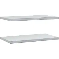 vidaXL Wandschappen 2 st 75x40 cm roestvrijstaal zilverkleurig