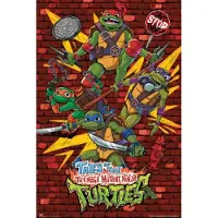 Grupo Erik Poster Ninja Turtles - 61x91,5cm