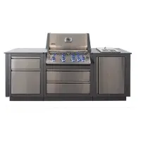 Napoleon OASIS Compact Inbouwbarbecue Prestige 500