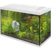 Superfish Aquarium Start 100 Tropical Kit Wit 100 L